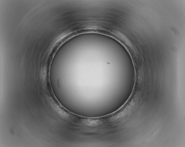 X0000112410831200908141358