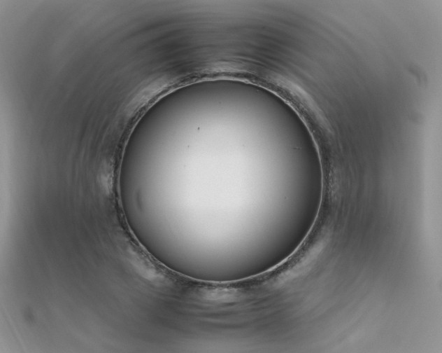 X0000112410833200908141358