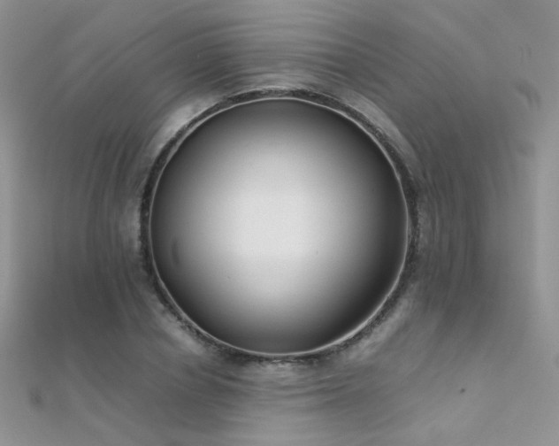 X0000112410834200908141358
