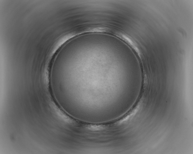 X0000112410835200908141359