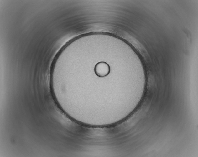 X0000112410836200908141359