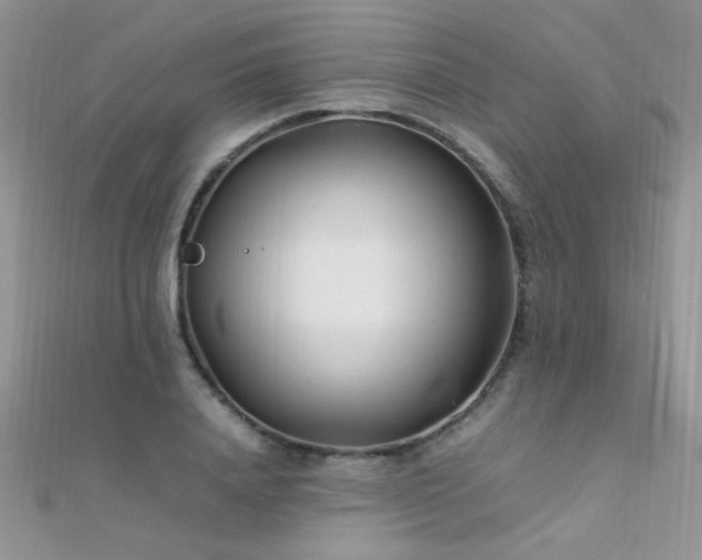 X0000112410840200908141359