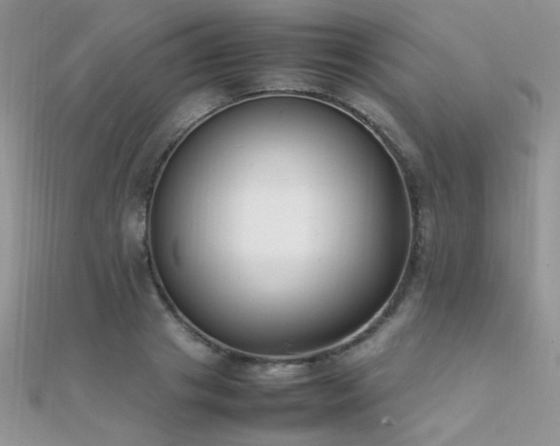 X0000112410841200908141359