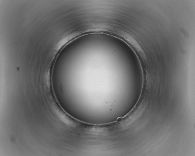 X0000112410842200908141359