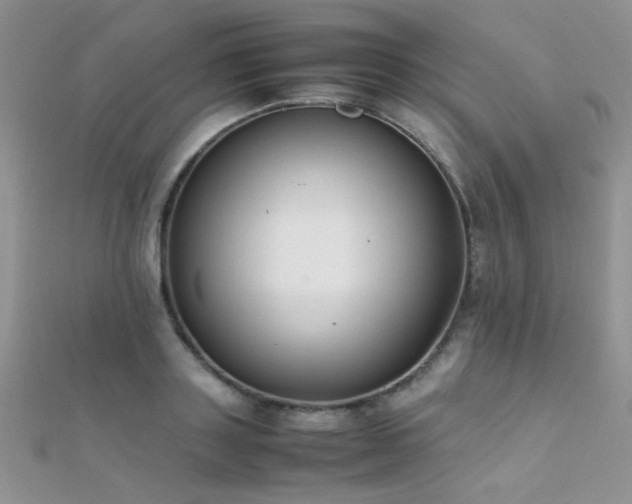 X0000112410843200908141359