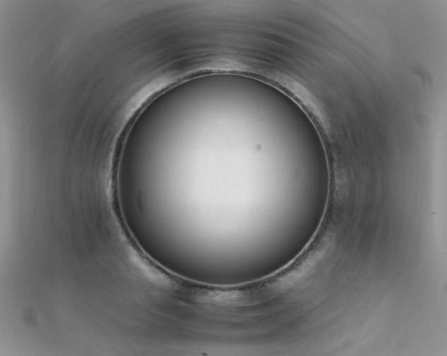 X0000112410845200908141359