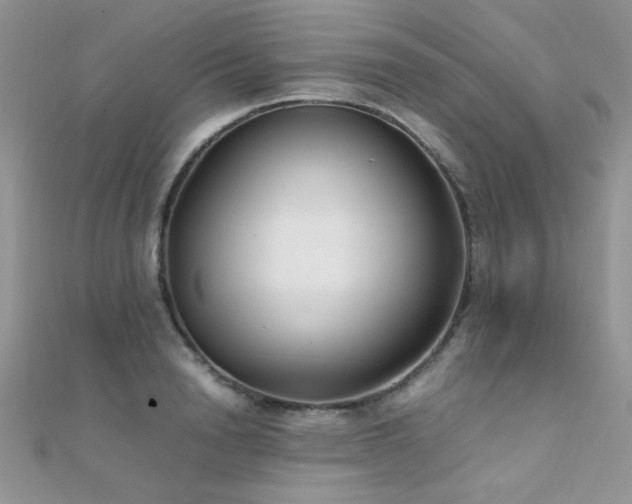 X0000112410846200908141359