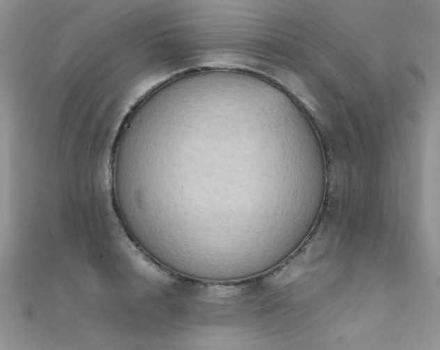 X0000112410848200908141359
