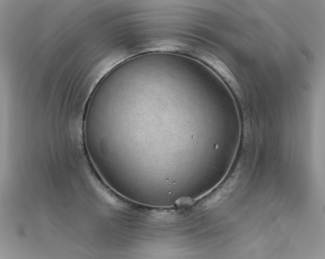 X0000112410850200908141359