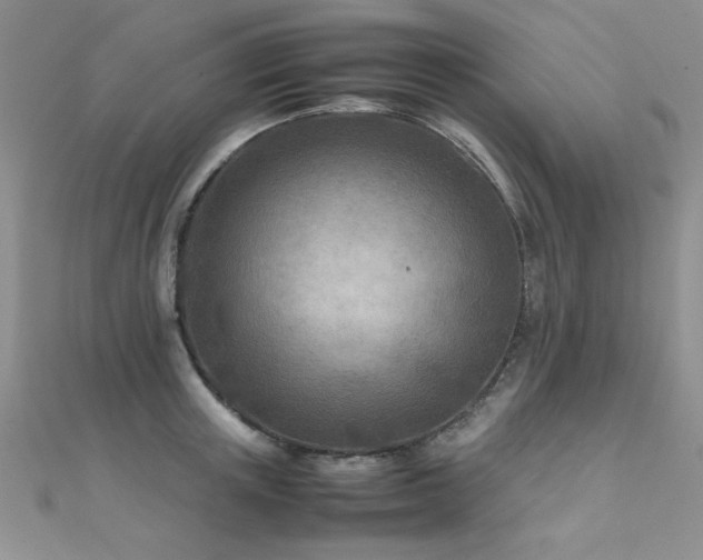X0000112410851200908141359