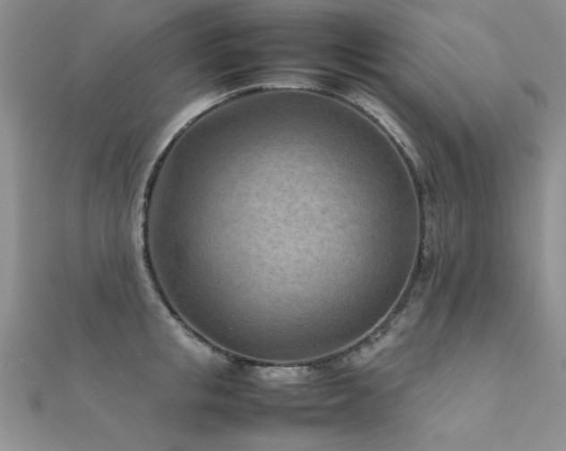 X0000112410853200908141359