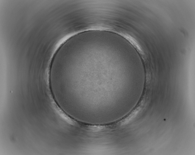 X0000112410854200908141359