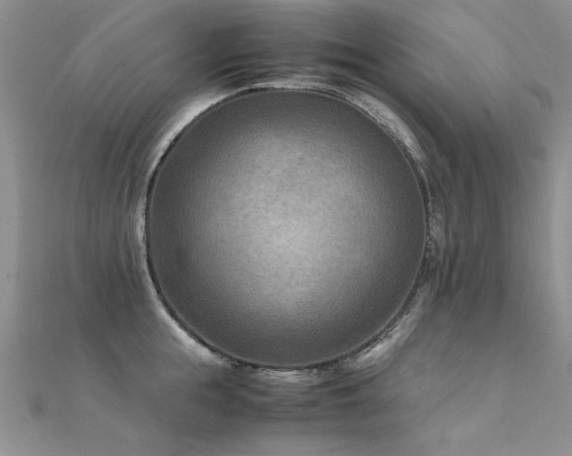 X0000112410855200908141359