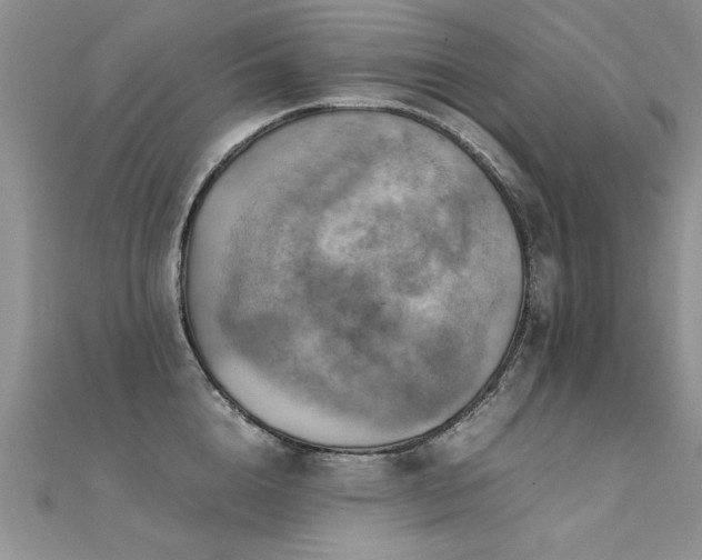 X0000112410856200908141359