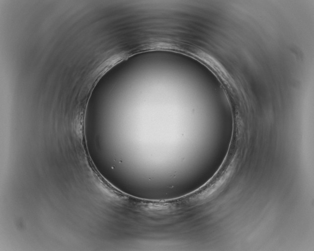 X0000112410857200908141359