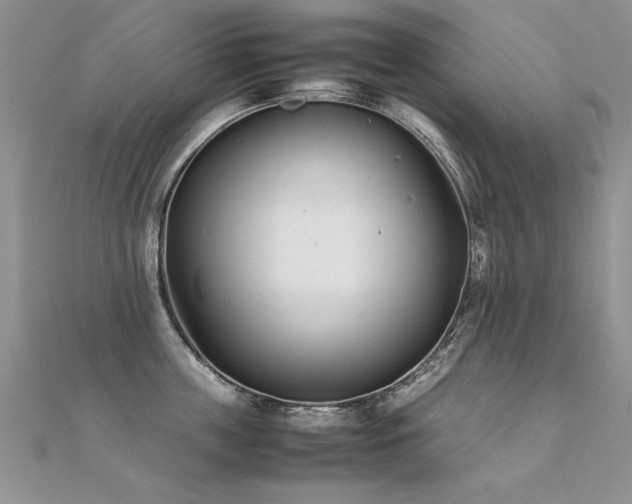 X0000112410859200908141359