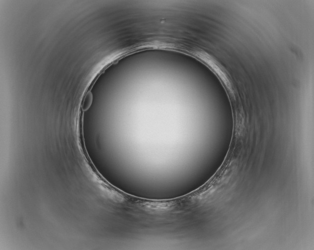 X0000112410861200908141359