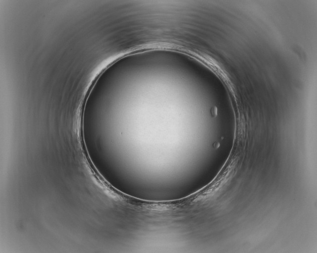 X0000112410862200908141359