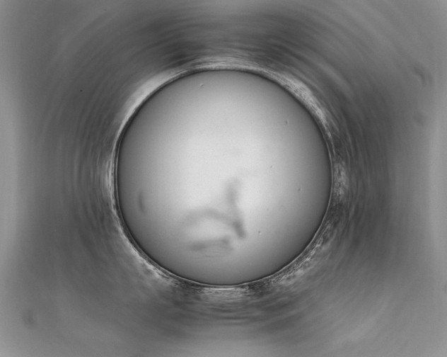 X0000112410863200908141359