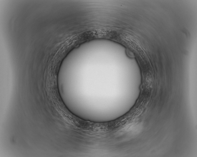 X0000112410865200908141358