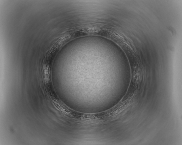 X0000112410866200908141358