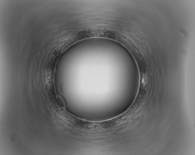 X0000112410867200908141358