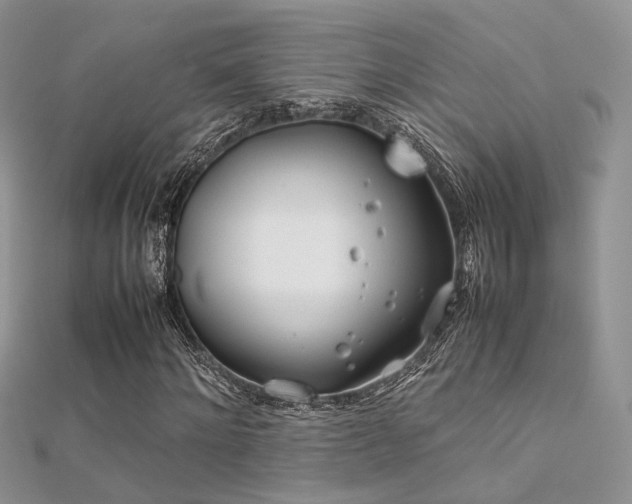 X0000112410868200908141358