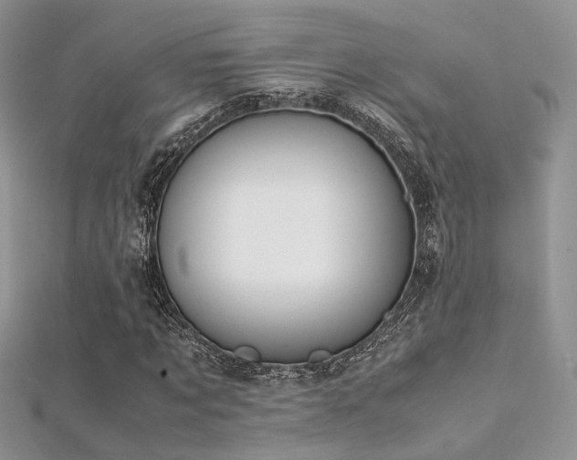 X0000112410869200908141358