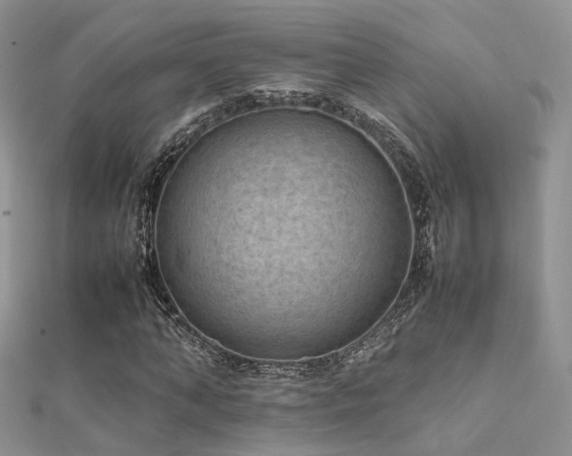 X0000112410870200908141358