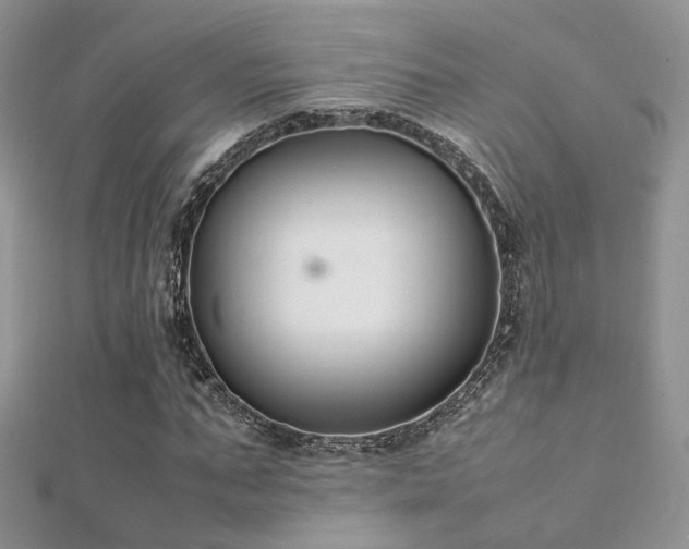 X0000112410871200908141358