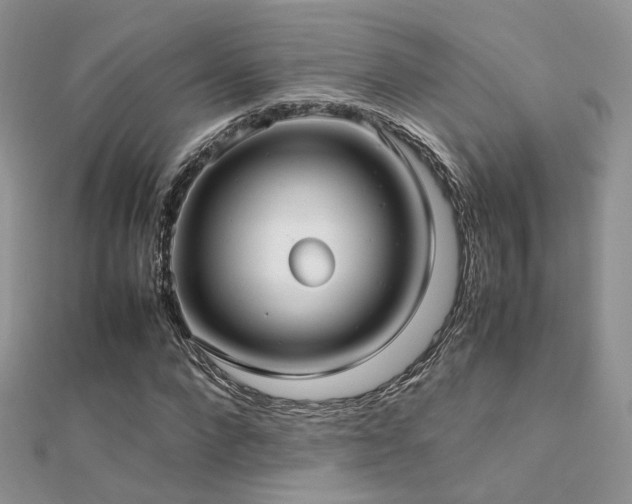 X0000112410872200908141358