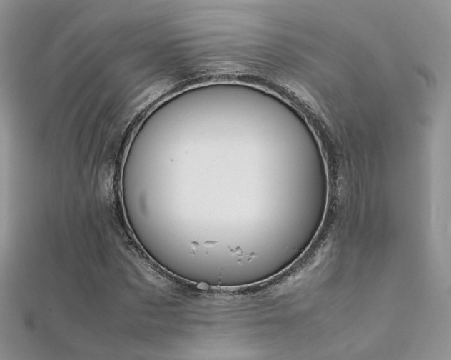 X0000112410873200908141358