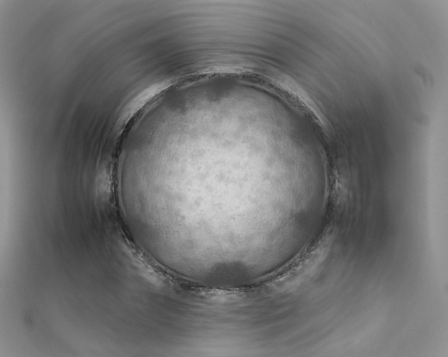 X0000112410874200908141358