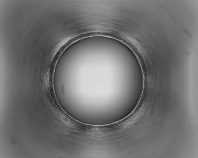 X0000112410875200908141358