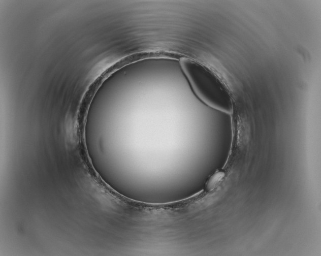 X0000112410876200908141358