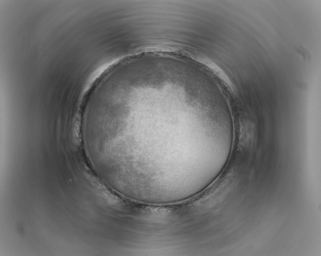 X0000112410878200908141358