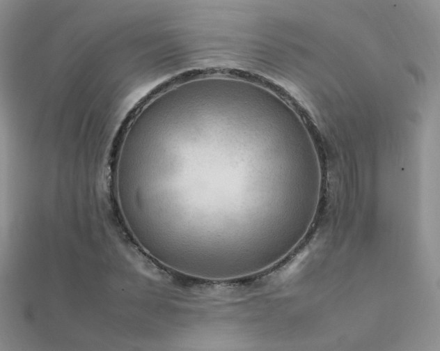 X0000112410879200908141358