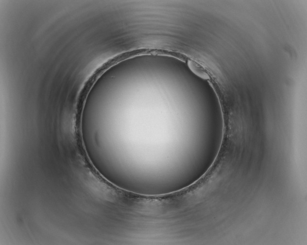 X0000112410880200908141358