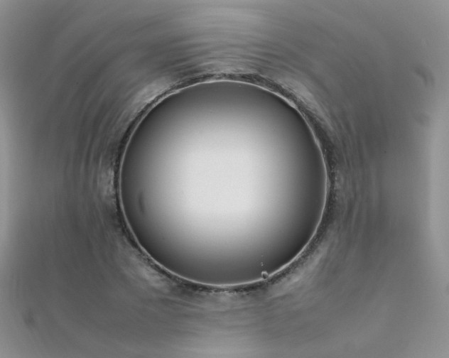 X0000112410881200908141358