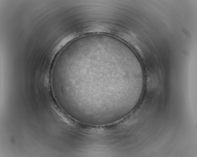 X0000112410882200908141358