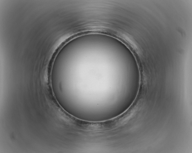 X0000112410883200908141358