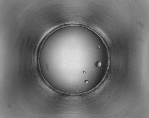 X0000112410884200908141358