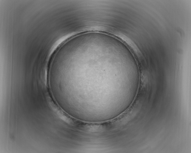 X0000112410886200908141358