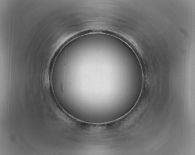 X0000112410887200908141358