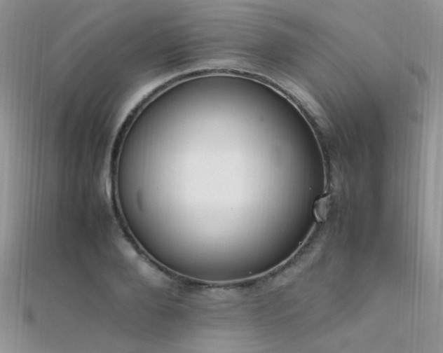 X0000112410888200908141358