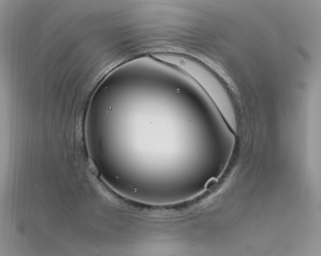 X0000112410889200908141358