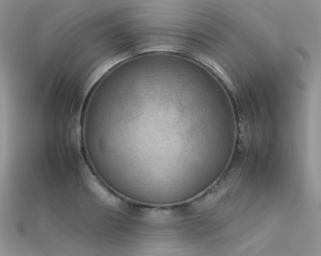 X0000112410890200908141358