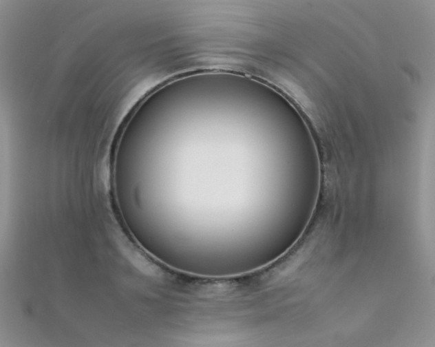 X0000112410891200908141358