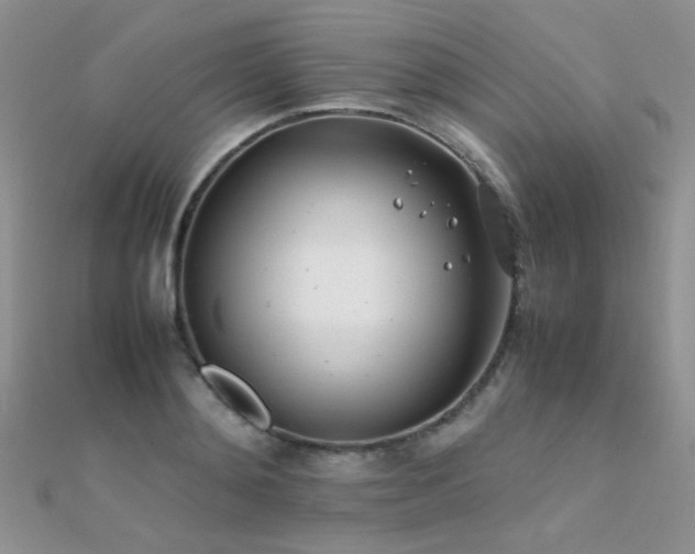 X0000112410892200908141358