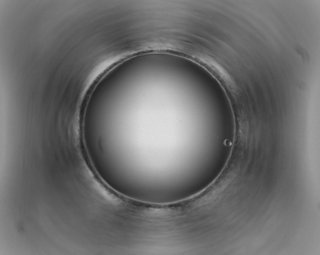X0000112410894200908141358